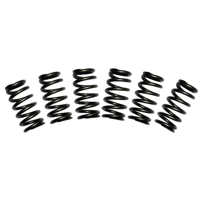 BD Diesel Engine Valve Spring - 1030060-BKJX